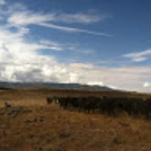 Meet your Posher, Michelle jo